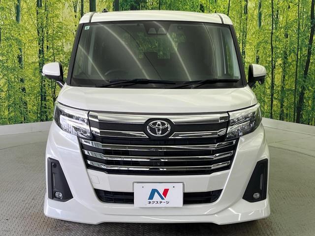 22448529_carP_l_9.jpg