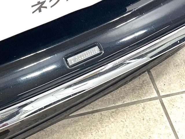 21149849_carP_l_15.jpg