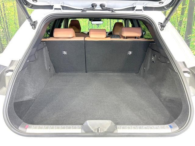 22856523_carP_l_2.jpg