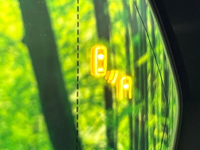 22280663_carP_l_13.jpg