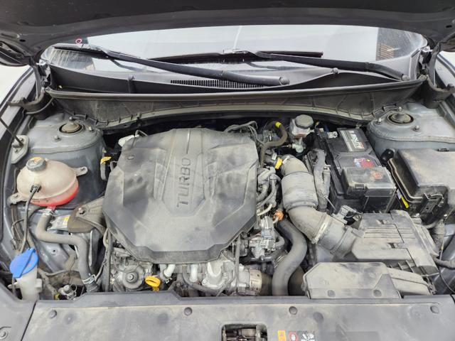 lotterental_161044498_sEOWe_1.jpg