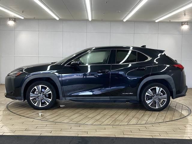 19798233_carP_l_11.jpg