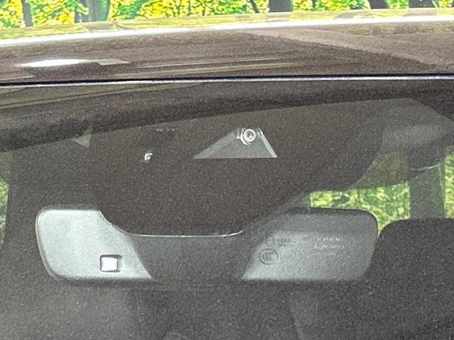 23149950_carP_l_10.jpg