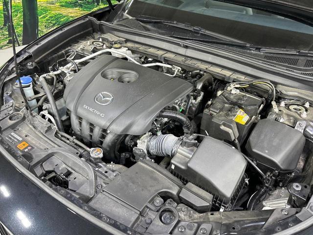 23149950_carP_l_20.jpg