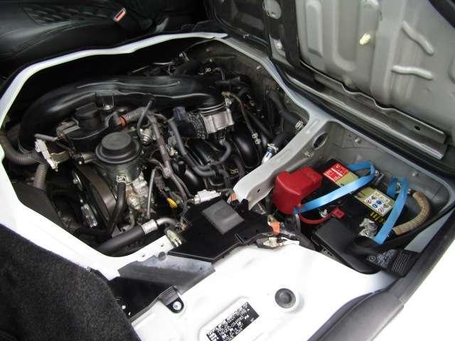 20067137_carP_l_18.jpg