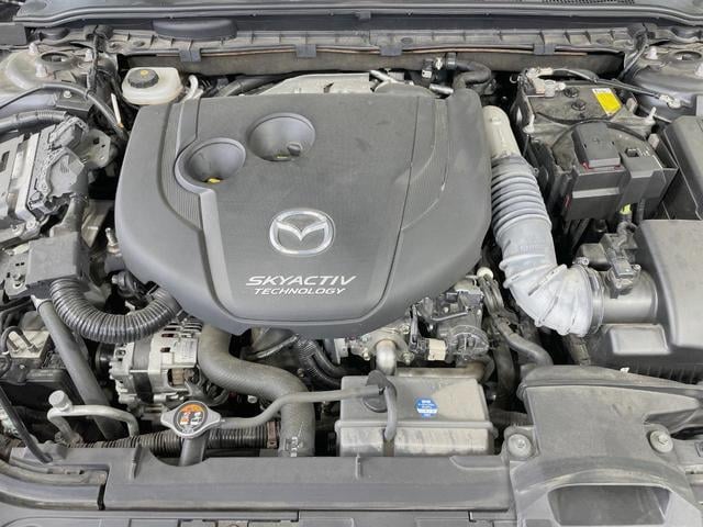 19724018_carP_l_16.jpg