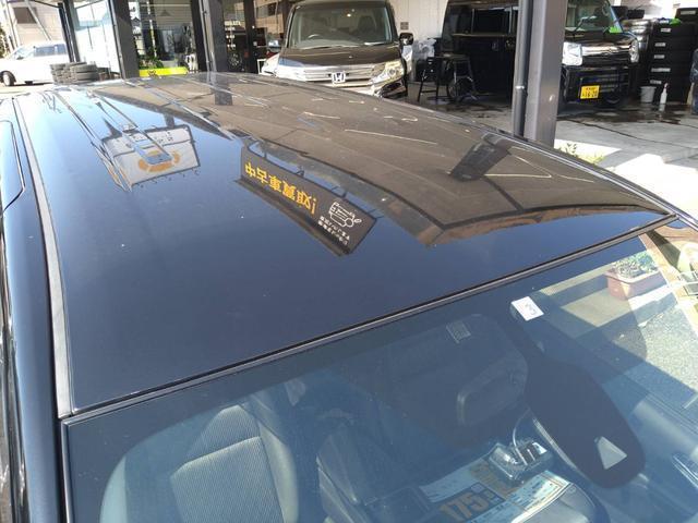 19444735_carP_l_9.jpg