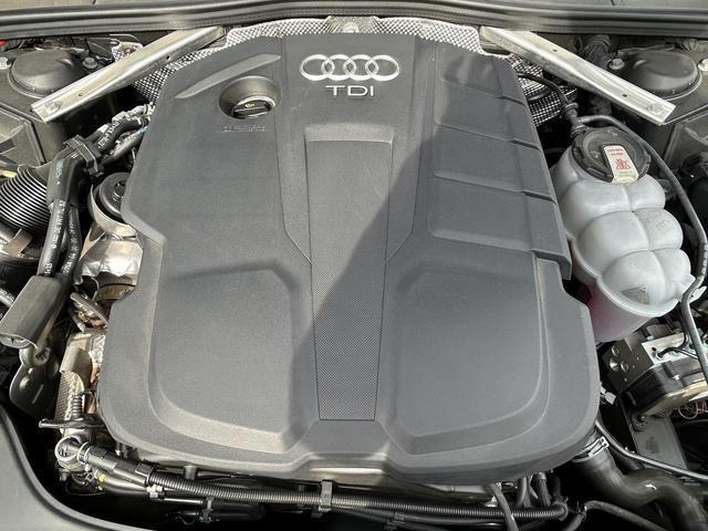 22256322_carP_l_12.jpg