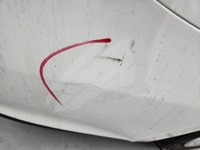 lotterental_154543886_MmNVO_7.jpg