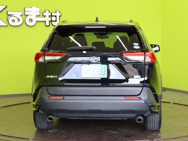20378212_carP_l_18.jpg