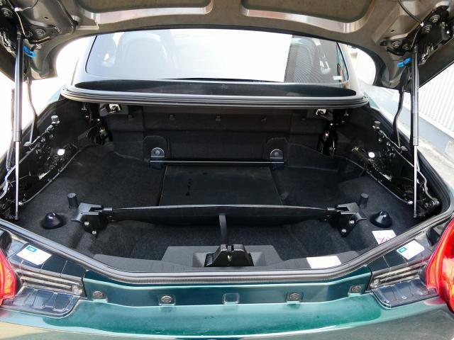 23054489_carP_l_18.jpg