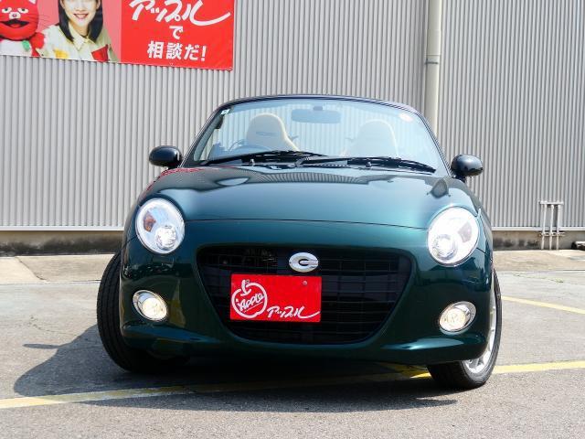 23054489_carP_l_2.jpg