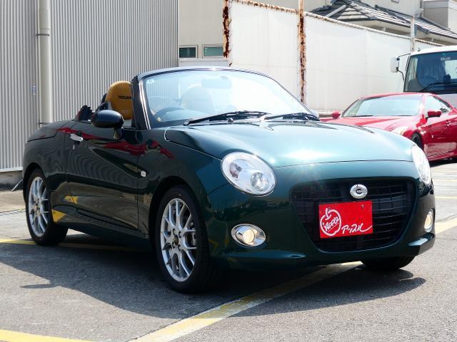23054489_carP_l_6.jpg