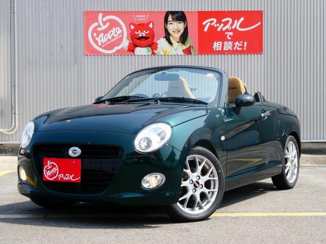 23054489_carP_l_1.jpg