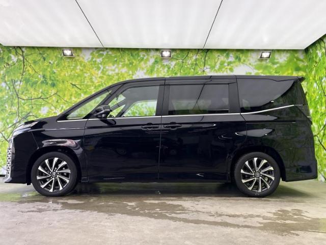 20698229_carP_l_3.jpg