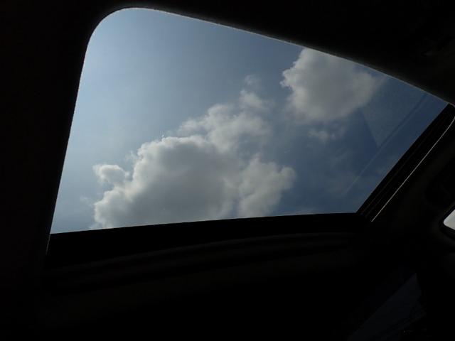 dc31cd0667dd2ce250cddade1138e349.jpeg