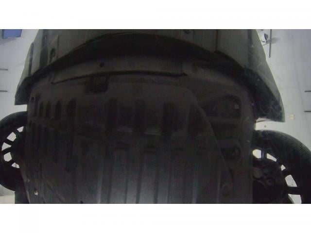 18594720_carP_l_7.jpg