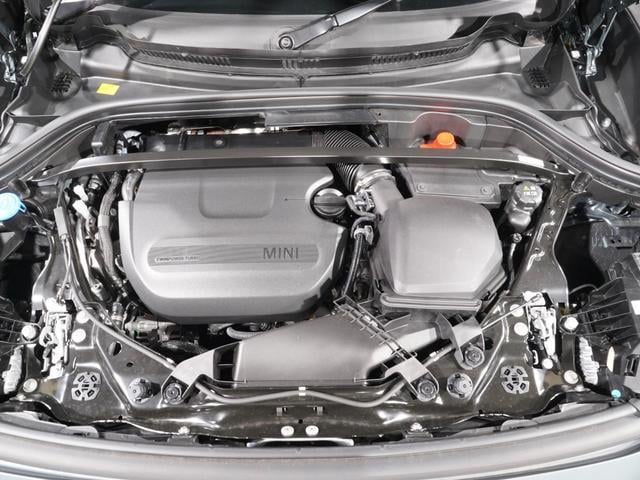 19536558_carP_l_17.jpg
