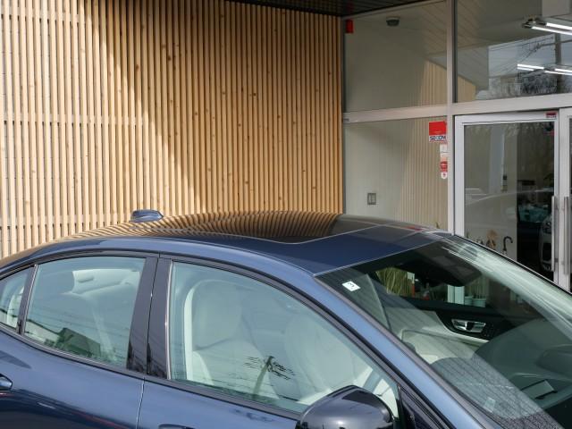 22468372_carP_l_12.jpg