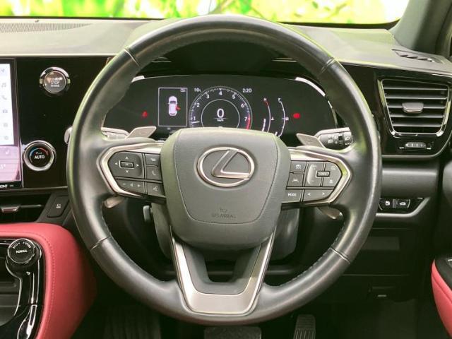 21301573_carP_l_11.jpg