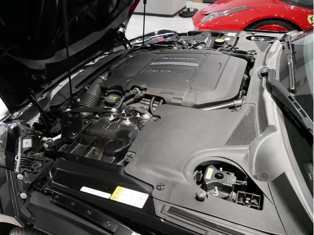 0508169A30240918W00117.jpg