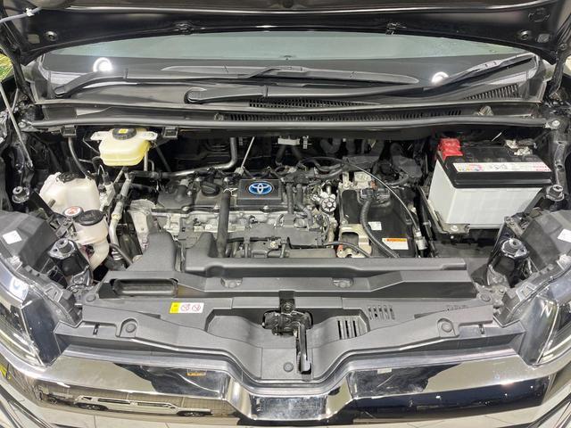 22205559_carP_l_18.jpg