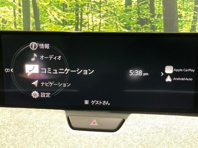 17025063_carP_l_10.jpg