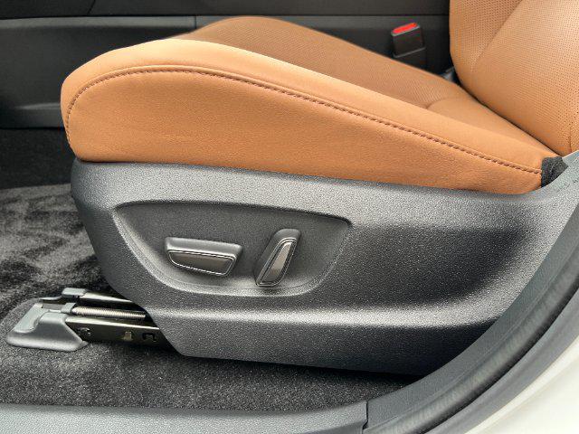 3b04e173ef2e4b92c9b3f19cab6392c4.jpg