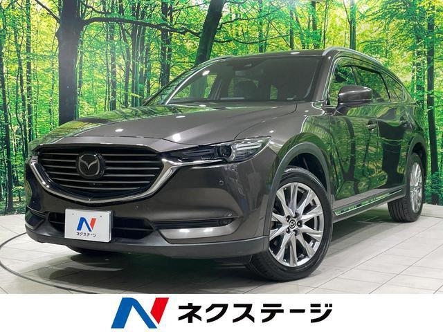 21765273_carP_l_1.jpg