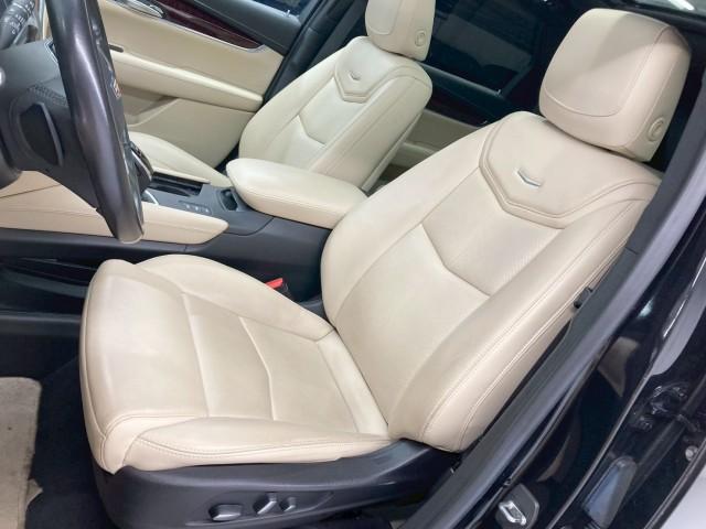 22587096_carP_l_4.jpg