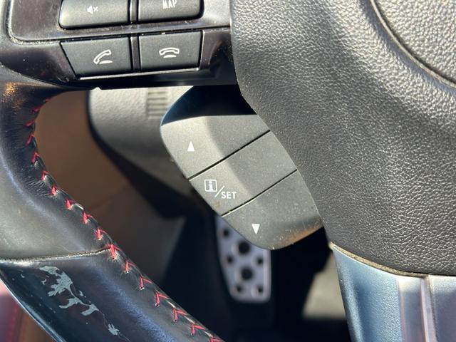 22581482_carP_l_9.jpg