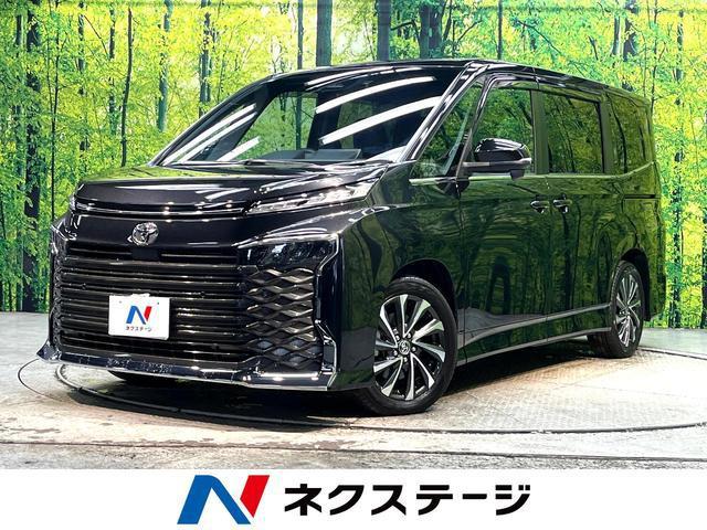22486661_carP_l_1.jpg