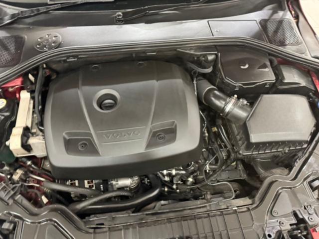50f6bdc8709ece072d77bed10d305702.jpeg