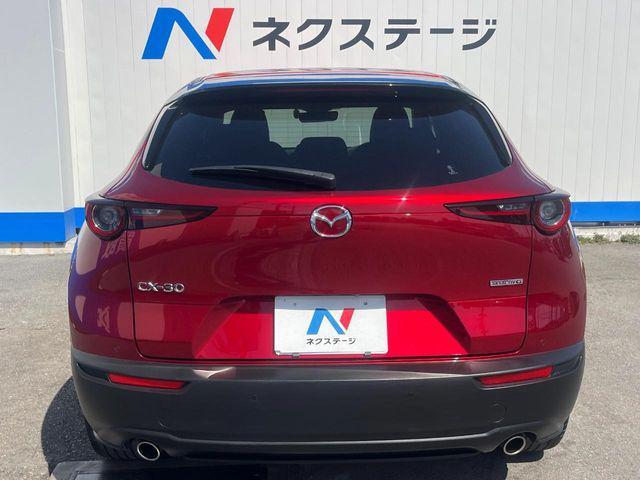 6a24a1b559f94c8d9fb35f1d1c51745f.jpg