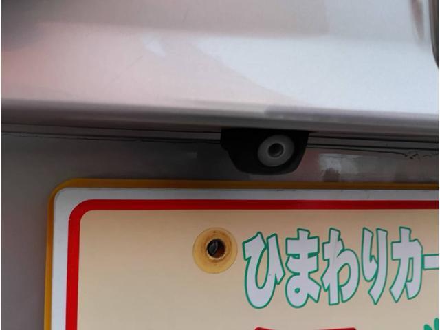23202371_carP_l_7.jpg