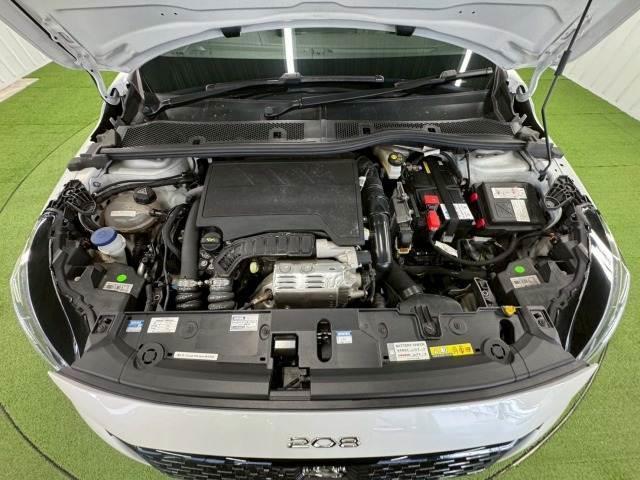 21997748_carP_l_6.jpg