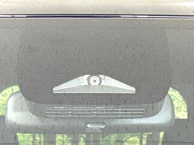 22699592_carP_l_14.jpg