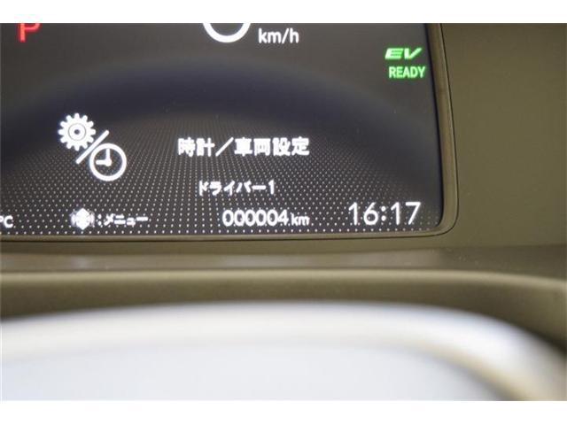 22704234_carP_l_8.jpg
