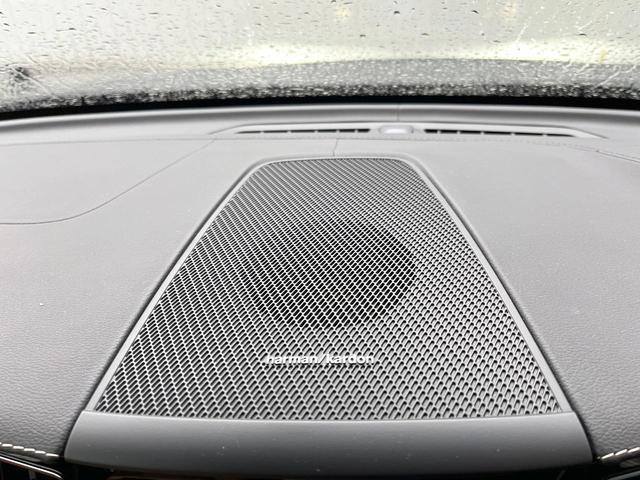 21027157_carP_l_17.jpg