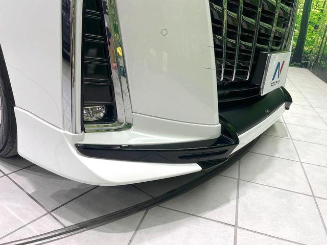 20124506_carP_l_13.jpg