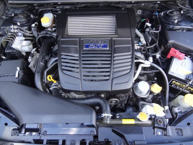 0404326A30250214W00118.jpg