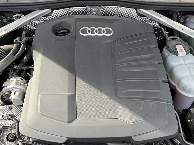 22089992_carP_l_12.jpg