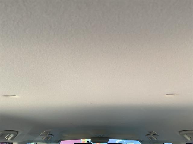 21218229_carP_l_6.jpg