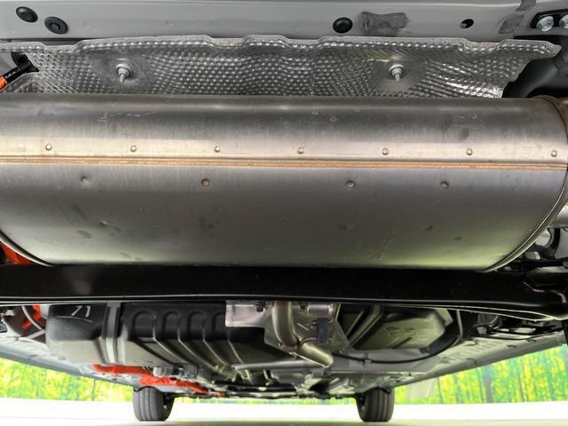 21008794_carP_l_18.jpg