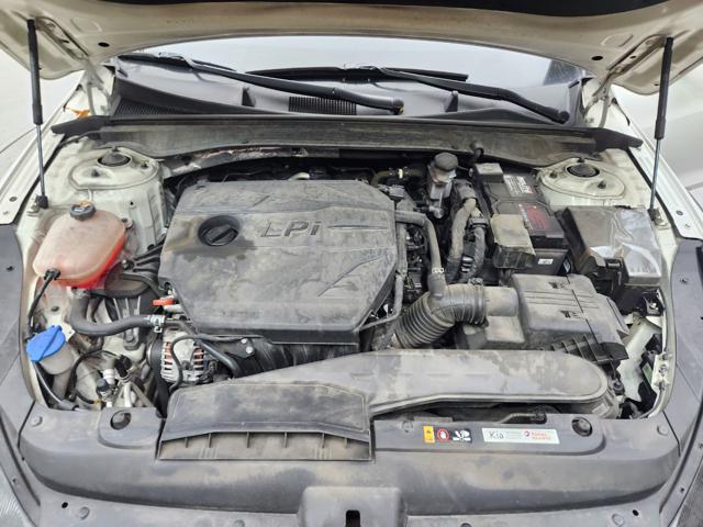 lotterental_144252615_blkEx_10.jpg