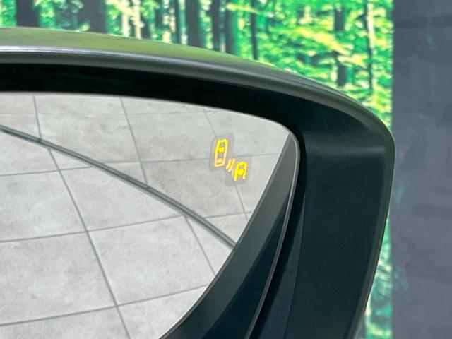 21325672_carP_l_10.jpg