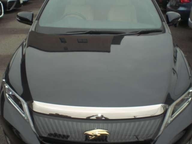 23257995_carP_l_11.jpg