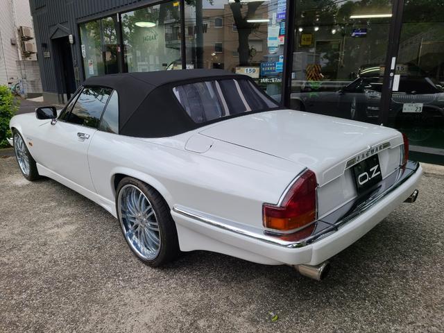 18341298_carP_l_14.jpg