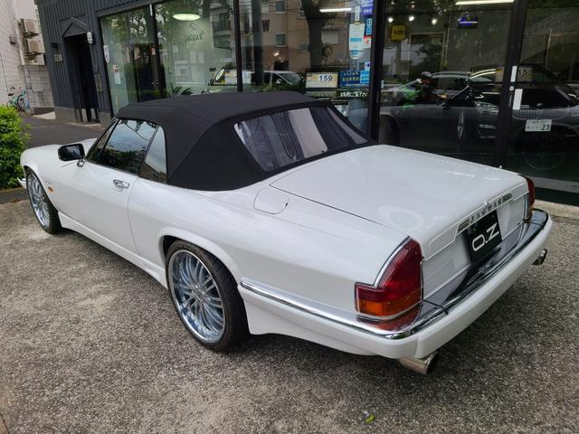 18341298_carP_l_17.jpg