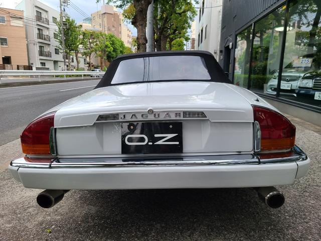 18341298_carP_l_19.jpg